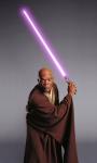 Samuel L. Jackson Wants Mace Windu to Make Ghostly Cameo in New 'Star Wars'