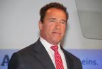 Arnold Schwarzenegger Defends Violence in Movie, Gives 'Conan' Updates