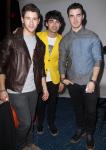 Concertgoer Sues Jonas Brothers for Injuries Obtained at L.A. Mall Show