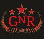 Guns N' Roses Added to 2013 Governors Ball Headliners