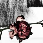 John Legend Debuts New Single 'Who Do We Think We Are' Ft. Rick Ross