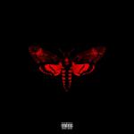 Lil Wayne Unveils 'I Am Not a Human Being II' Tracklist and Cover Art