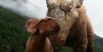 An Underdog Ready to Lead Pack of Big and Scary Dinos in 'Walking with Dinosaurs' New Trailer