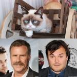 Grumpy Cat Gets Her Own Movie With Will Ferrell and Jack Black to Co-Star