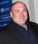 HBO Hasn't Decided on the Future of 'Criminal Justice' Following James Gandolfini's Death