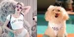 Miley Cyrus' Video Parodied With 'We Can Bark' Starring Puppies