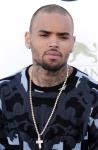 Chris Brown Enters Not Guilty Plea to Hit-and-Run
