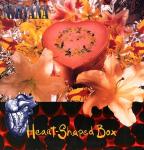 Director's Cut of Nirvana's 'Heart Shaped Box' Video Debuts Online