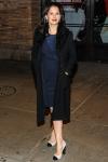 Hilaria Baldwin Shares Photo of Her Doing Yoga in Plane