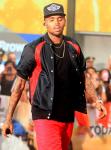 Chris Brown Transferred Into U.S. Marshal Custody