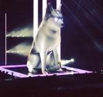 Video: Miley Cyrus Cries Onstage and Hugs Giant Inflatable Floyd at Boston Concert