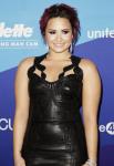 Demi Lovato Announces New Single 'Really Don't Care'