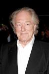 'Harry Potter' Star Michael Gambon Tapped for 'The Casual Vacancy' Miniseries