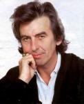 George Harrison Memorial Tree Killed by Beetles