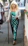 David Hasselhoff's Ex-Wife Pamela Bach Accused of Hit-and-Run