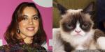 Aubrey Plaza Will Voice Grumpy Cat in Lifetime's Holiday Movie
