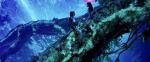 James Cameron Wins Latest 'Avatar' Lawsuit Against Artist Roger Dean