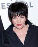 Liza Minnelli Turned Into Comic Book Character