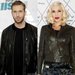 Calvin Harris Previews Collaboration With Gwen Stefani 'Together'