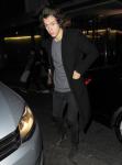 Adam Shankman to Produce Adaptation of Harry Styles Fan Fiction Book