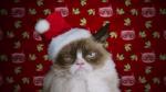 'Grumpy Cat's Worst Christmas Ever' Debuts First Trailer