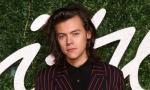 Leaked Nude Photos Are Not Harry Styles'