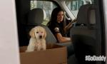 GoDaddy Pulls Its Super Bowl Commercial Starring Danica Patrick After Backlash