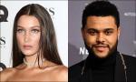 Bella Hadid Bumps Into Ex The Weeknd During Concert at Madison Square Garden