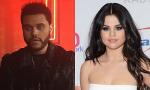 The Weeknd 'Really Likes' Selena Gomez, Enjoys Being in 'Sexy and Flirty' Relationship With Her