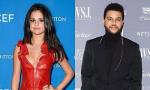 Selena Gomez and The Weeknd Get 'Cozy' at Grammys After-Party as Justin Bieber Throws Shade at Him