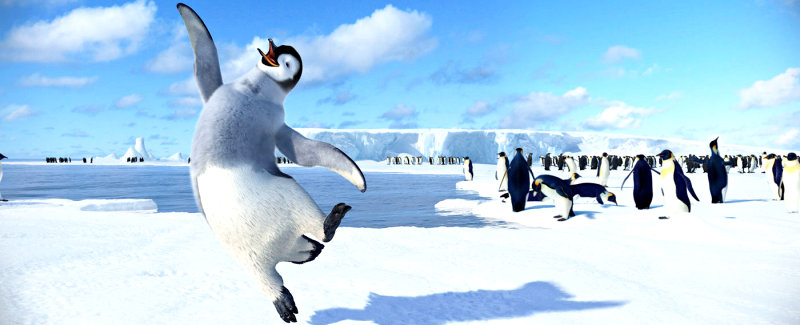 Animated Pics Of Penguins. feet stomping penguins are