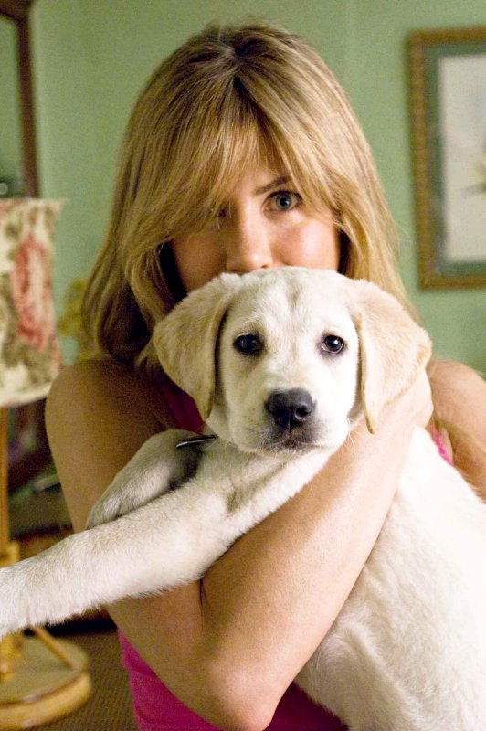 marley and me the dog. #39;Marley and Me#39; Remains Top