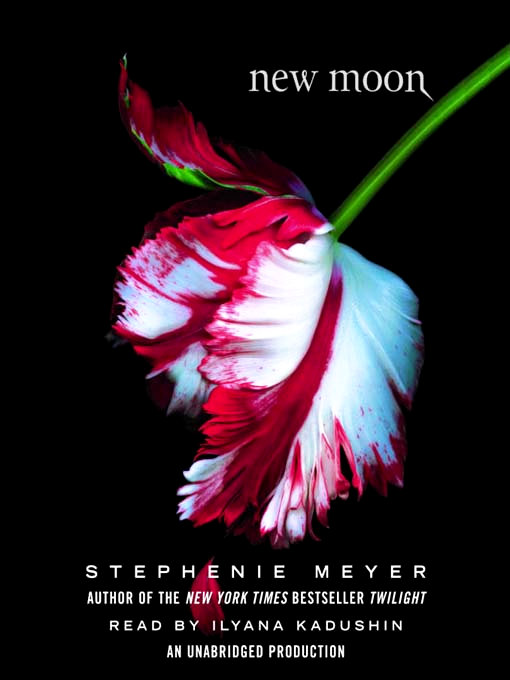 Italy Shooting Details of 'New Moon'