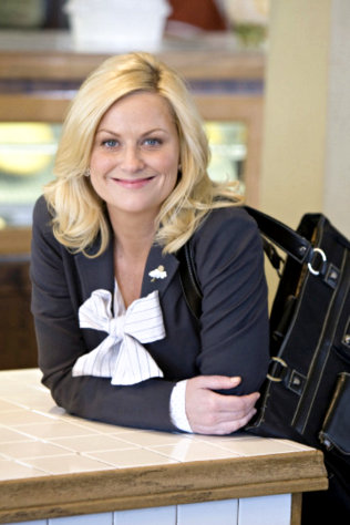 Amy Poehler's 'Parks and Recreation' Clips: Door to Door Campaign