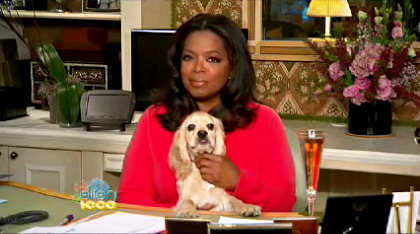 Video: Oprah Winfrey Congratulating Ellen DeGeneres  on 1000th Show