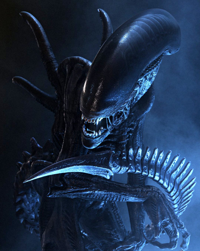 Is an Alien Origin Story in the Works?