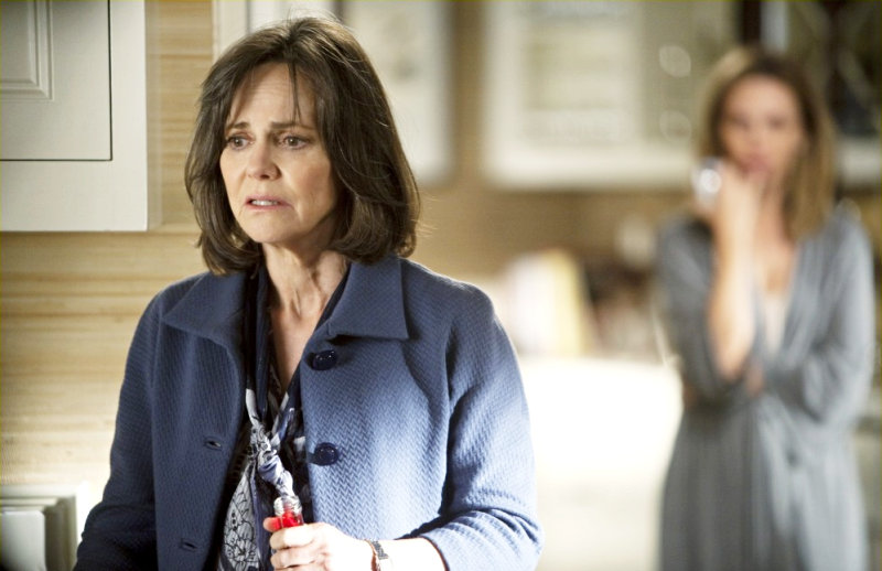 'Brothers and Sisters' 4.07 Preview: Nora Gets Wild
