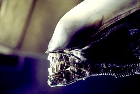 'Alien' Prequel Gets Heavenly Title, Release Date Not Pushed Back a Year