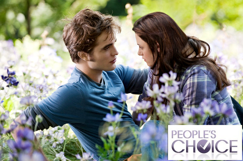 2011 People's Choice Awards Winners in Movie