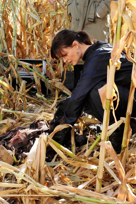 Preview of 'Bones' Episode About 'Sister Wives'