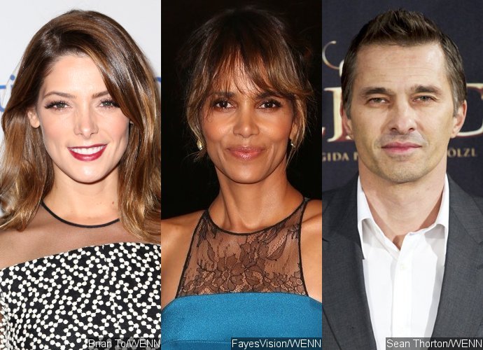 Ashley Greene Accused of Causing Halle Berry and Olivier Martinez's Divorce