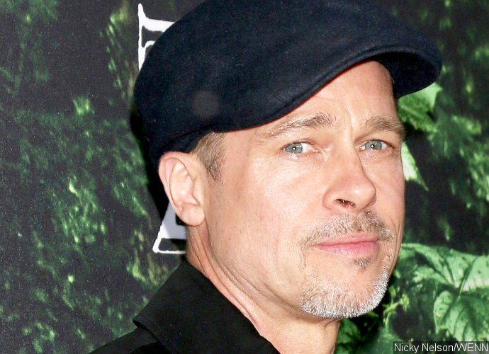 Brad Pitt Beaming as He Returns to Red Carpet Amid Angelina Jolie Divorce