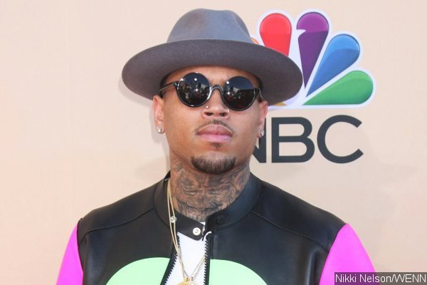 Chris Brown and Nia Guzman's Boyfriend in Legal Battle Over Royalty's Birth Certificate