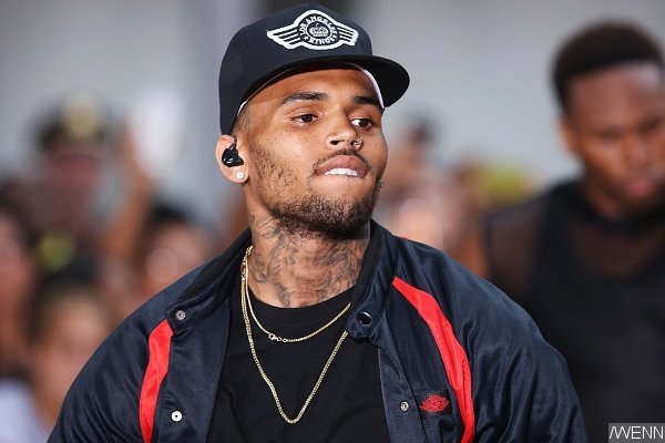 Chris Brown Calls Fans 'Ungrateful' for Complaining About Tour Delay