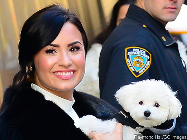 Demi Lovato 'Heartbroken' After Her Beloved Dog Died in 'Tragic Accident'