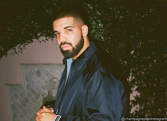 Drake Pauses Show to Threaten Male Fan Who Is Caught Groping Women