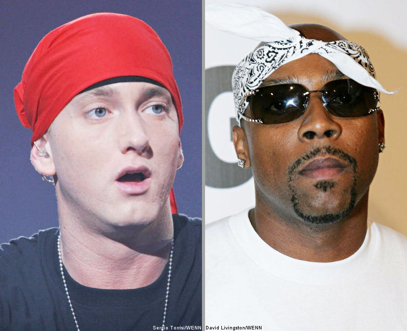 nate dogg and eminem. Eminem Believes Nate Dogg