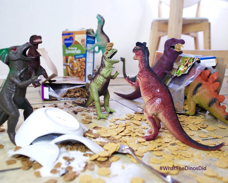 What The Dinosaurs Did Last Night Read Aloud Fox Adapts Children's Book 'What the Dinosaurs Did Last Night'