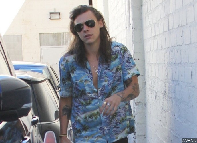 Harry Styles Chops Off His Long Hair for Good Cause
