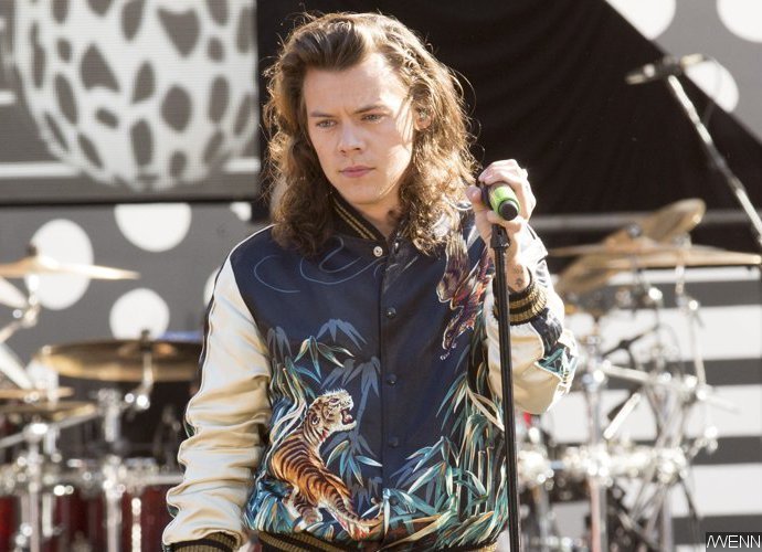 Harry Styles Wants to Become Real Estate Agent After One Direction Split Up